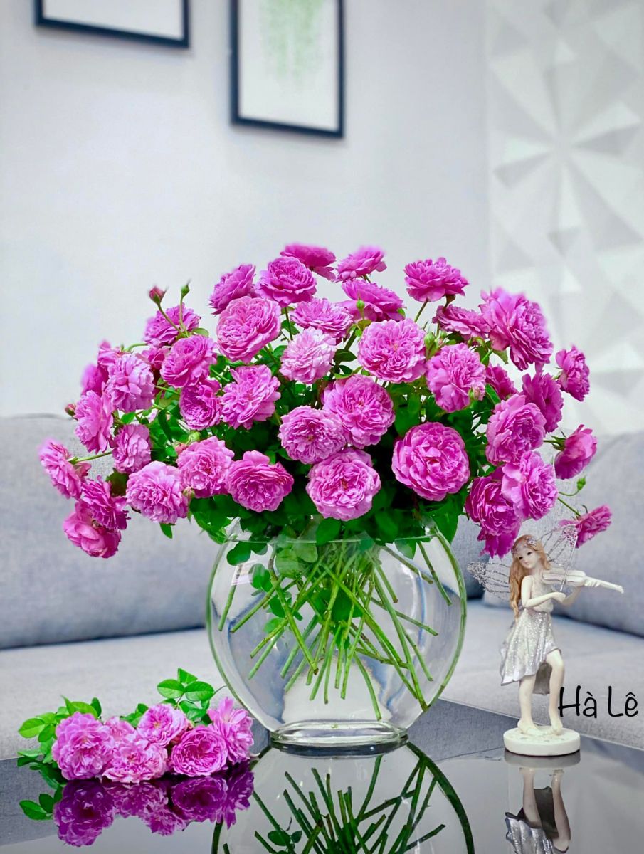 Tử vi ngày 10/9/2022 của 12 cung hoàng đạo